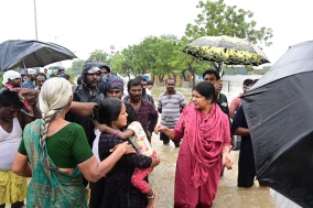 mp-kanimozhi-in-the-field-in-thoothukudi