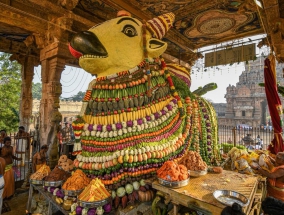 tanjore-nandhi-special-pooja-photo-album