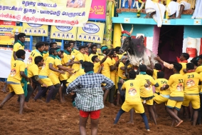 palamedu-jallikattu-photo-album-2