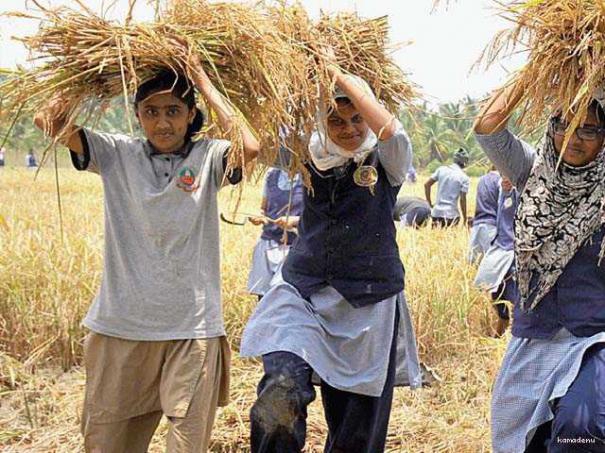 504454-students-practising-agriculuture