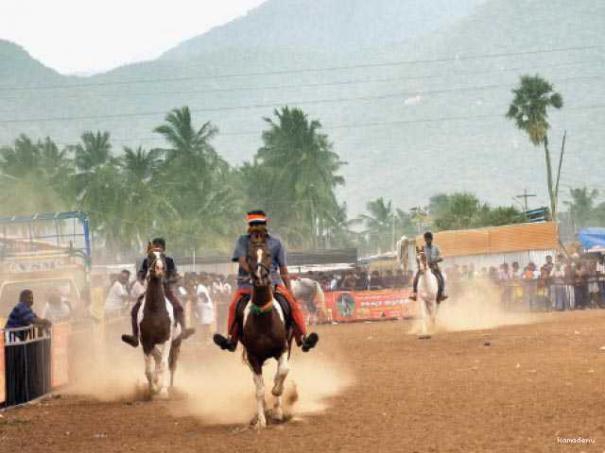 504994-andhiyur-horse-market