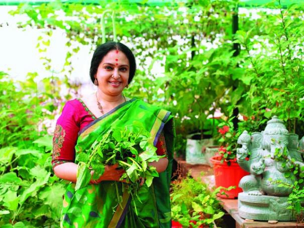 526778-seetha-terrace-garden