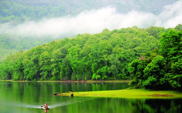 527988-the-forest-worships-you-parambikulam