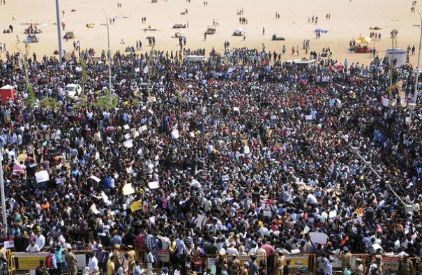 622679-jallikkattu-protest