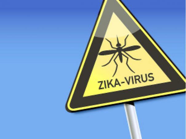 694190-zika-virus