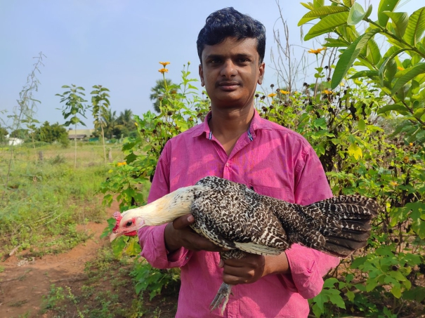 police-officer-breeds-foreign-poultry