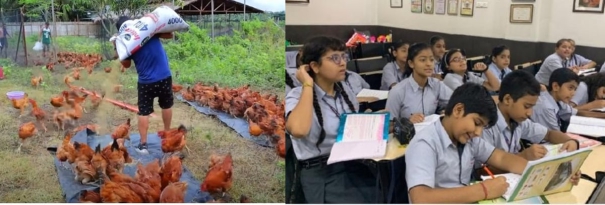 controversy-over-government-order-as-it-recommends-school-students-to-do-poultry