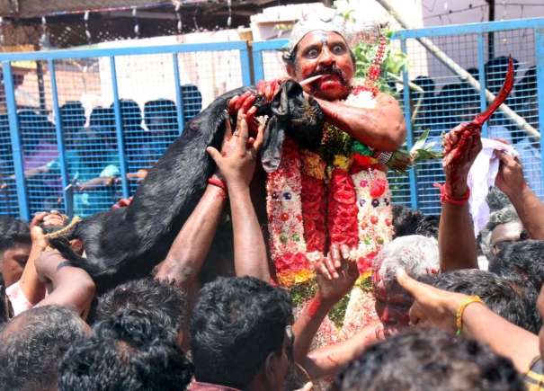 kulumai-amman-temple-festival