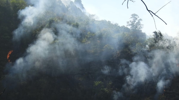 who-is-responsible-for-the-kodaikanal-wildfire