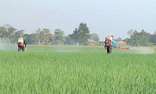 fertilizer-price-increase-in-tamil-nadu-many-times-farmers-blame-the-central-government