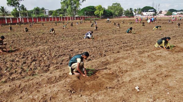 rs-1-lakh-for-agricultural-graduate-youth-to-start-business-tnbudget2022