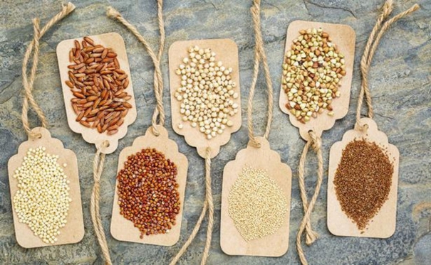 special-schemes-for-small-grain-production