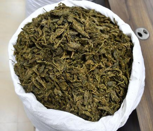 four-including-lawyer-arrested-in-ganja-case