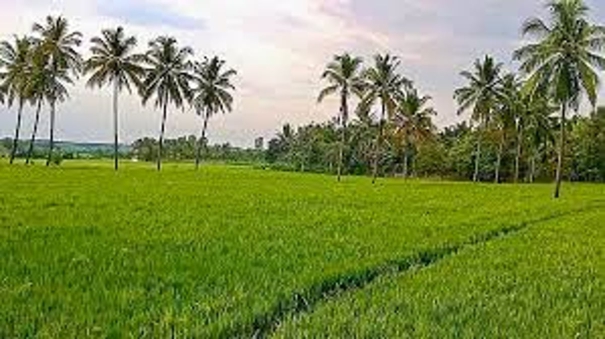 field-photo-required-to-buy-agricultural-loan