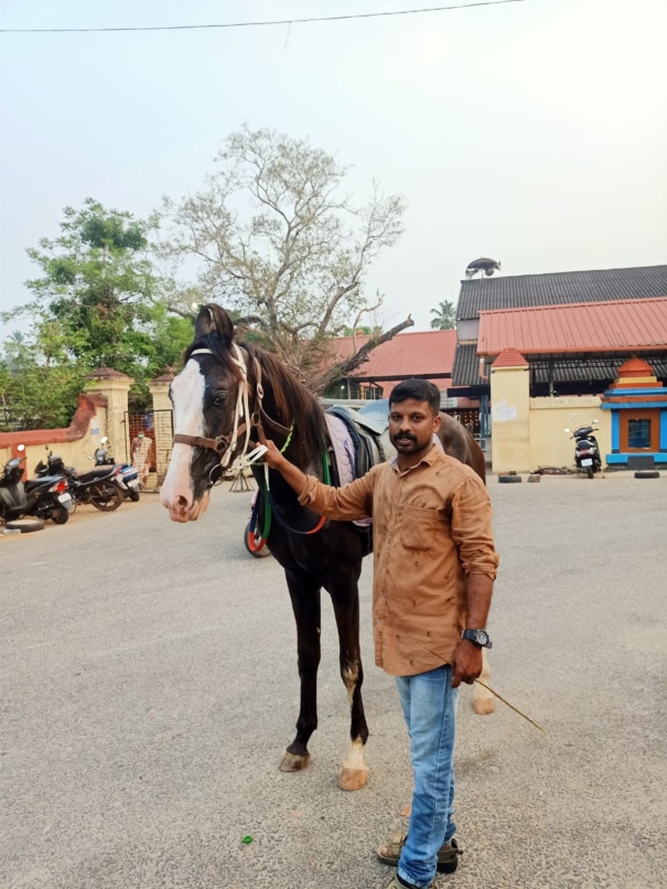 panchayat-member-who-comes-on-horseback-and-collects-peoples-grievances