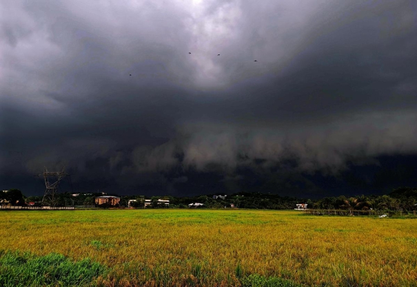 heavy-rain-red-alert-for-six-districts-in-kerala