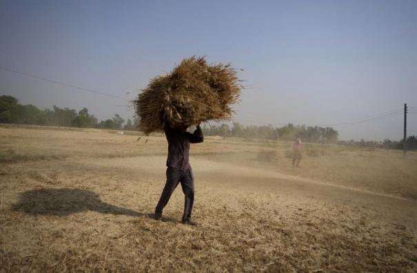 buy-wheat-till-may-31-centre-tells-states