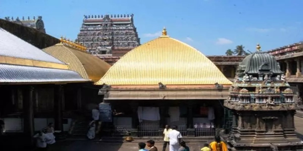 to-the-government-of-tamil-naduletter-of-denial-on-behalf-of-the-natarajar-temple-dixits