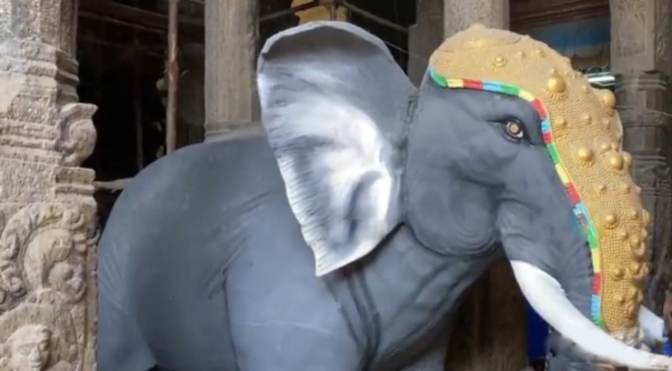 devotees-consider-elephant-toy-as-a-temple-elephant