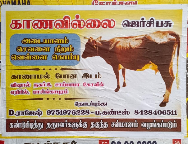 man-pasted-poster-to-retrieve-lost-cow-near-madurai