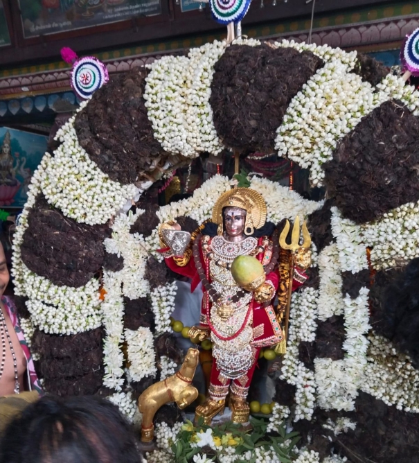 mangani-festival-in-karaikal-ammaiyar-temple