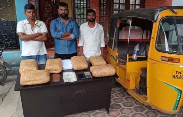 cannabis-smugglers-arrest-in-chennai