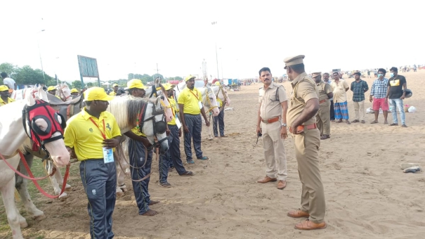 id-number-uniform-for-horse-riders-at-marina-police-crack-down-on-crime