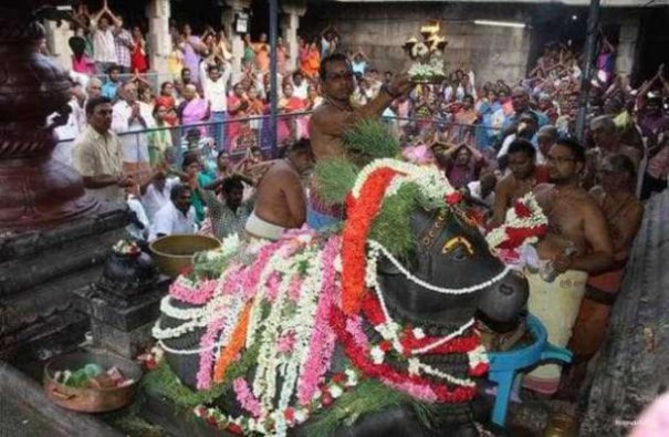 sivaraathiri-pradhosham-siva-dharshan