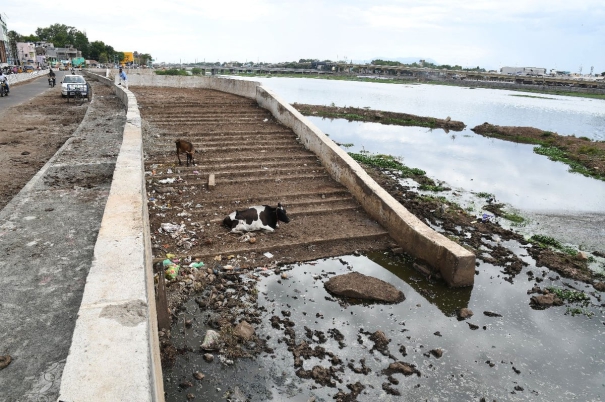 traditional-steps-destroyed-for-roads-vaigai-river-lost-its-beauty