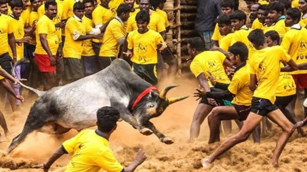 tender-notice-for-the-proposed-jallikattu-arena-at-madurai-has-been-cancelled