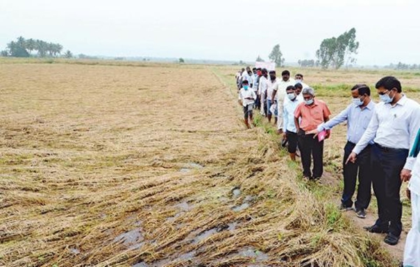 tamil-nadu-government-provides-compensation-for-rain-affected-crops