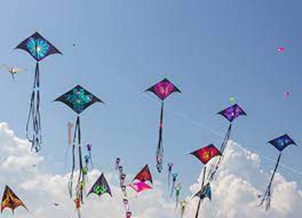 international-kite-festival-in-mamallapuram