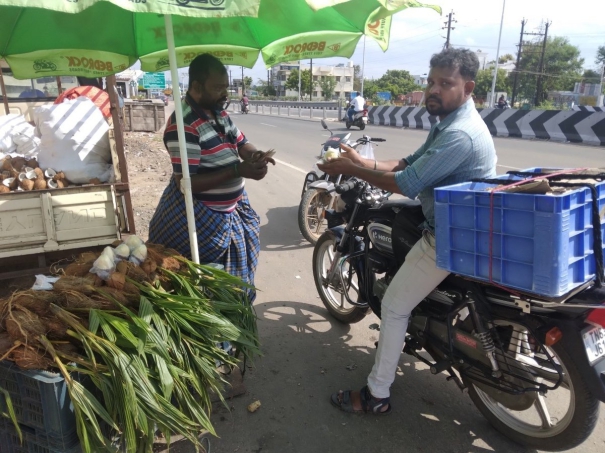 if-you-eat-coconut-flower-26-types-of-diseases-are-cured-new-information-said-by-the-merchant