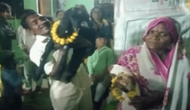 up-couple-celebrate-birthday-for-their-goats