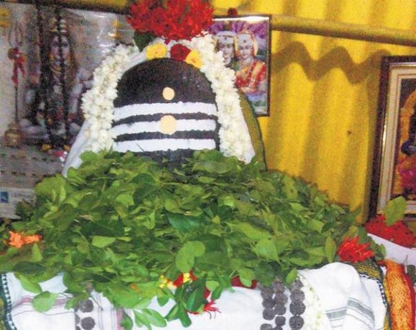 shivratri-in-the-month-of-kartik-worry-relieving-shivratri