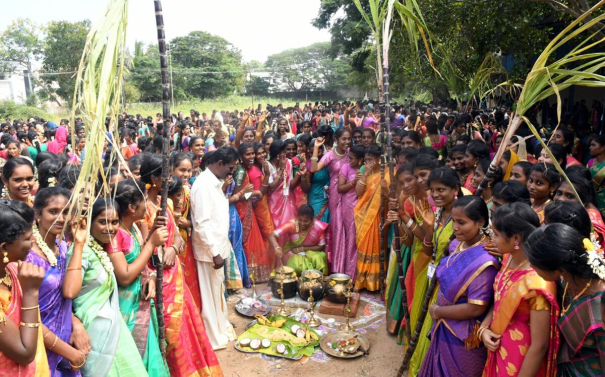 pongalo-pongal-this-is-the-time-for-pongal