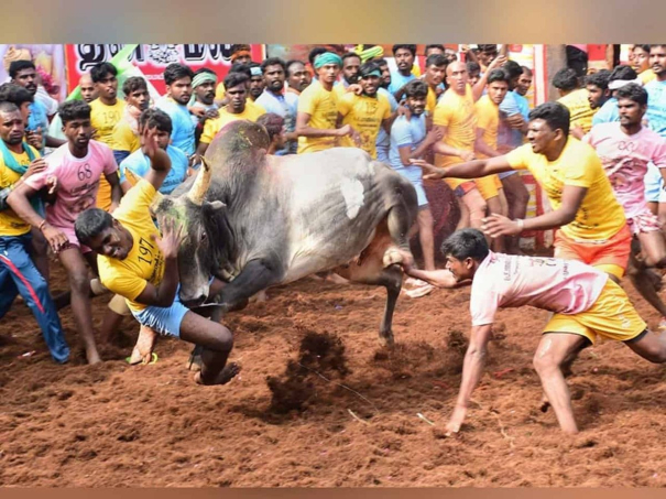 allowed-800-bulls-300-players-to-avaniyapuram-jallikkattu