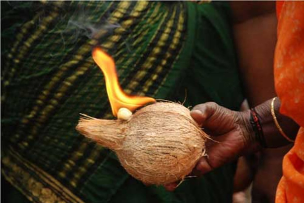 coconut-in-puja-scattered-at-the-door-young-water-abhishekam-so-much-greatness-in-coconut