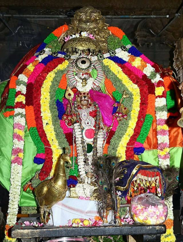 kaakkum-karthikai-selval-15-thiruchengode-velavar