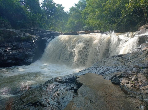 two-college-students-who-had-come-for-a-trip-to-pachamalai-drowned-in-the-waterfall