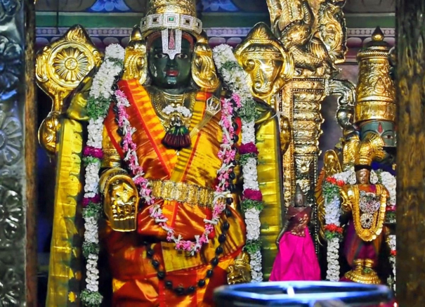 thiruthangal-nindra-narayana-perumal-temple-car-festival-aani-therottam