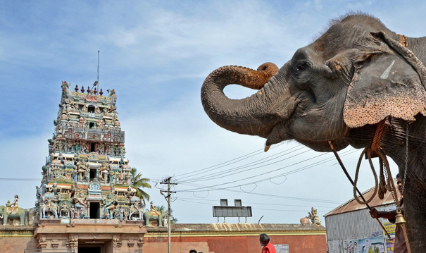 paadal-petra-shiva-temples-in-kongu-nadu-kodumudi-magudeswarar-temple-cauvery-river-rituals