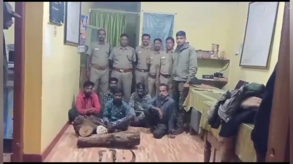 five-smugglers-of-sandalwood-were-caught-by-the-forest-department-action-in-the-nilgiris