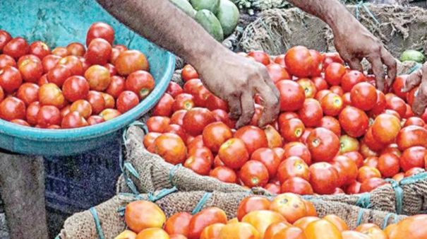 one-kilo-of-tomato-is-sold-at-80-rupees-in-chennais-koyambedu-vegetable-market