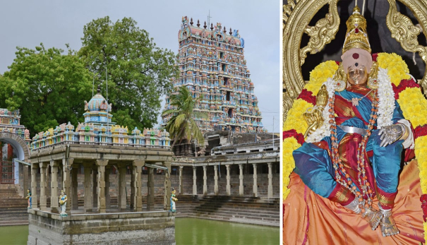 thirunelveli-nellaiappar-gandhimathi-amman-temple-venuvanam-bamboo