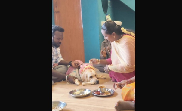 baby-shower-to-house-dog-at-dindigul