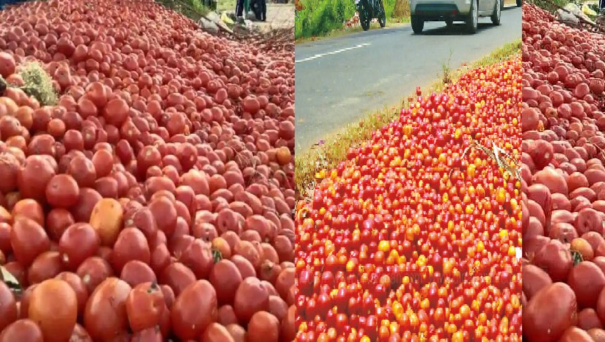 red-gold-thrown-on-the-road-grumpy-farmers