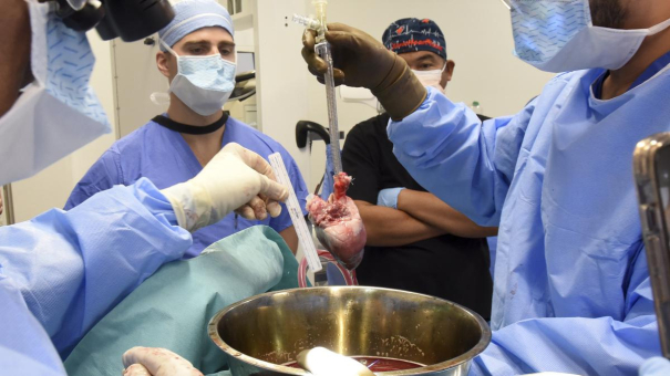 american-surgeons-perform-second-pig-heart-transplant