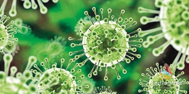 experts-warn-that-there-is-a-possibility-of-the-spread-of-a-new-type-of-virus