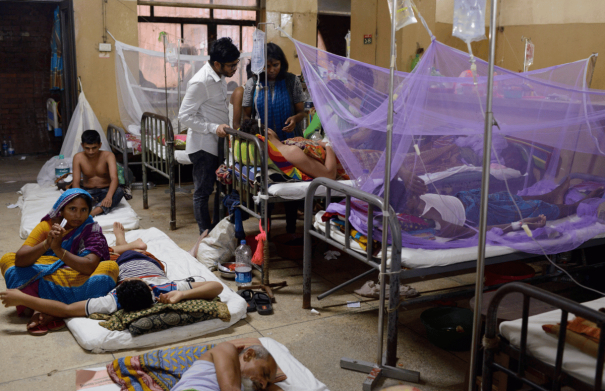 bangladesh-sees-1000-deaths-due-to-dengue-this-year